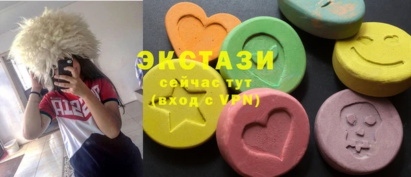 гашик Алексин