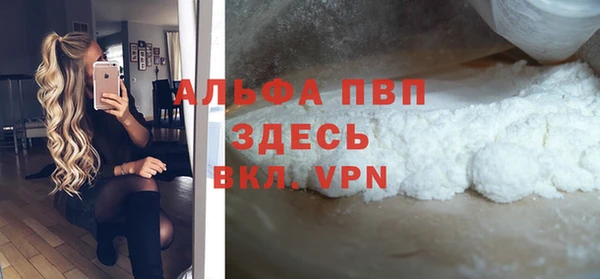 гашик Алексин