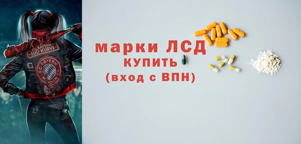 гашик Алексин