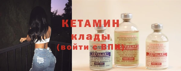 гашик Алексин