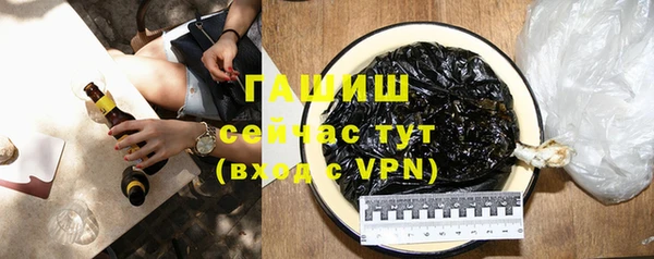 гашик Алексин