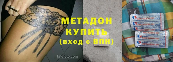гашик Алексин