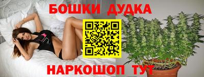 шишки Кинель