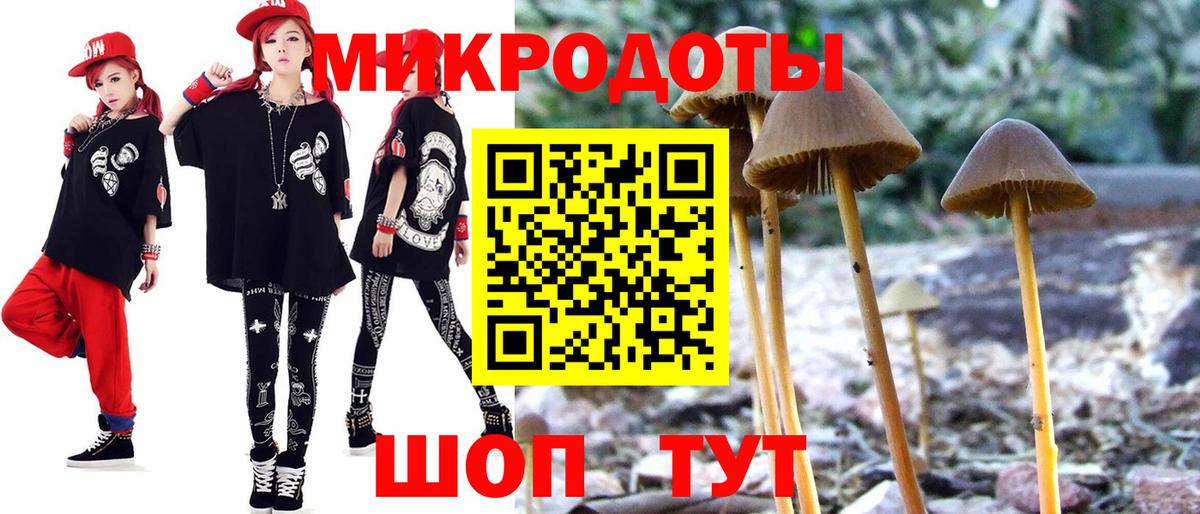 Галлюциногенные грибы ЛСД Михайловск