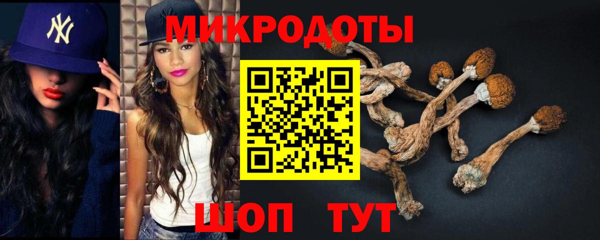 Михайловск  Галлюциногенные грибы прущие грибы  Вход с VPN  Галлюциногенные грибы GOLDEN TEACHER 